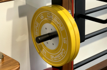 Диск обрезиненный DESIRE FITNESS FW004-3 15 кг