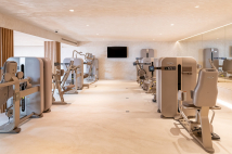 Разгибание ног TECHNOGYM Artis Luxury Leg Extension