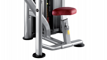 Трицепс BH FITNESS TR line L160