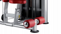 Трицепс/брусья BH FITNESS TR line L150