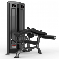 Сгибание ног лежа REALLEADER M7Pro-2009