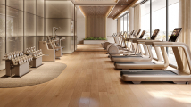 Горизонтальный велотренажер TECHNOGYM Artis Luxury Recline