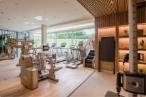 Горизонтальный велотренажер TECHNOGYM Artis Luxury Recline