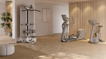 Вертикальный велотренажер TECHNOGYM Artis Luxury Bike