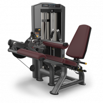 Сгибание ног сидя TRUE FITNESS Palladium Seated Leg Curl SPL-0200 Acrylic