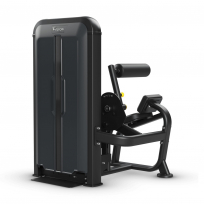 Разгибание спины VISION Keystone Back Extension V-KEY-SL-52