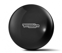 Мяч для фитнеса TECHNOGYM Wellness Ball 65 см