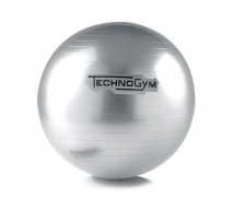 Мяч для фитнеса TECHNOGYM Wellness Ball 55 см