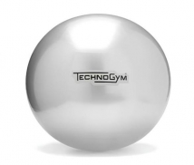 Мяч для фитнеса TECHNOGYM Wellness Ball Training 55 см