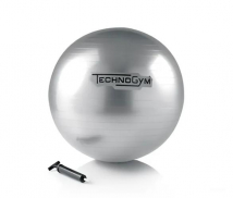 Мяч для фитнеса TECHNOGYM Wellness Ball 55 см