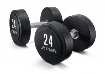 Набор уретановых гантелей ZIVA ZVO-DBPU-1631 2-20 кг (10 пар)