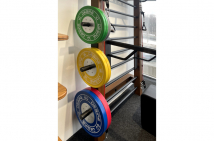 Диск обрезиненный DESIRE FITNESS FW004-3 15 кг