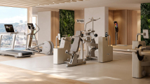 Жим плечами TECHNOGYM Artis Luxury Shoulder Press