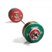 Набор олимпийских дисков TECHNOGYM Olympic Plates